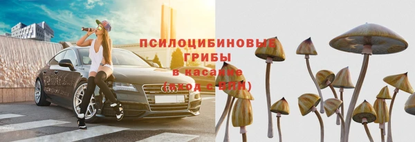 Альфа ПВП Надым