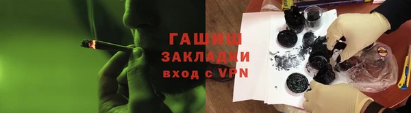шишки Долгопрудный